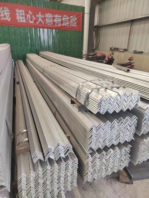 Q195-Q420 Series Stainless Steel Slotted Angle Bar for Construction and Shipbuilding