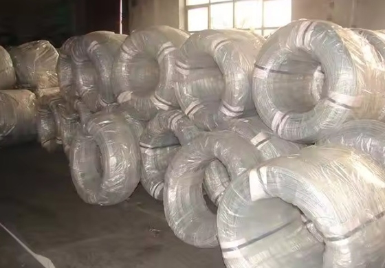 Welding Service and ±1% Tolerance for 6mm-12mm Hot Dipped Galvanized Coil Wire
